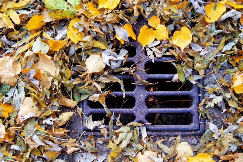Yard Drain Obstruction Removal
