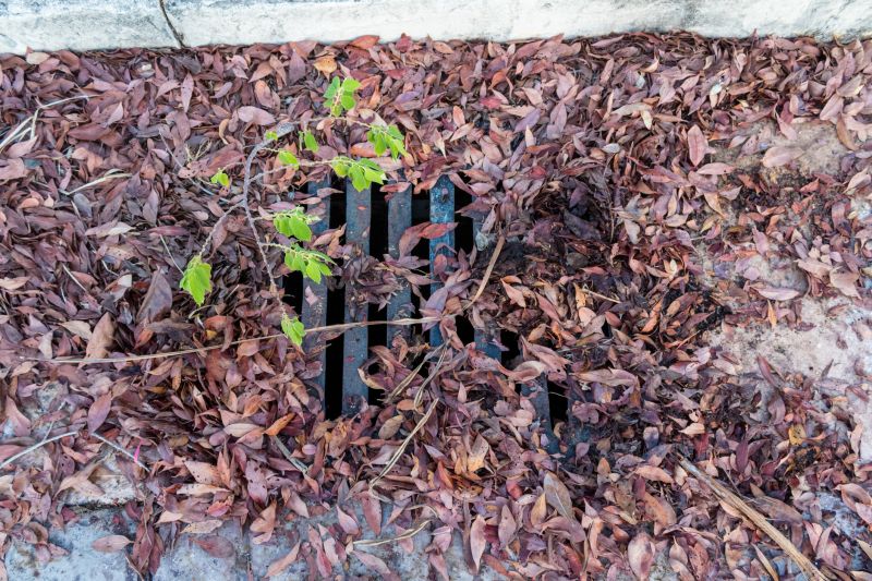 Yard Drain Obstruction Removal