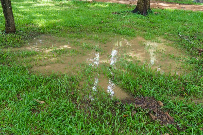 Muddy Yard Drainage in Birmingham, AL