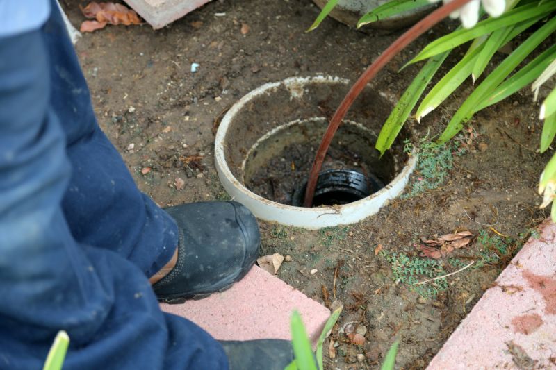 Yard Drain Obstruction Removal