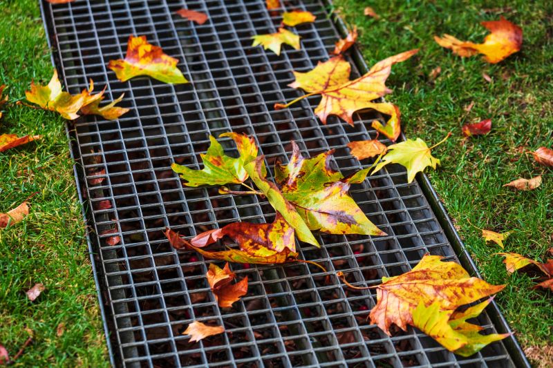 Yard Drain Obstruction Removal