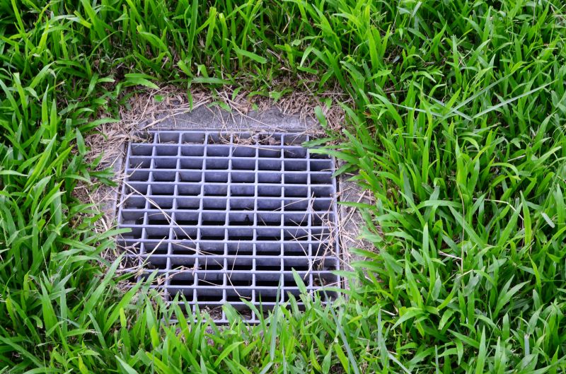 Yard Drain Obstruction Removal